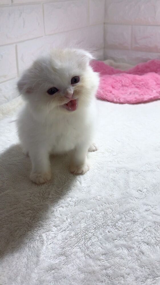 画像13034