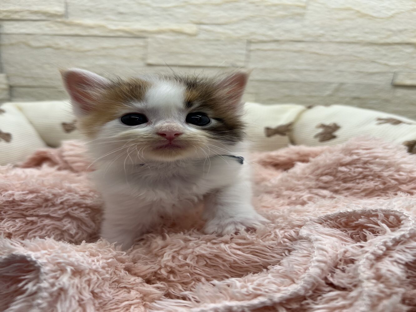 画像21026