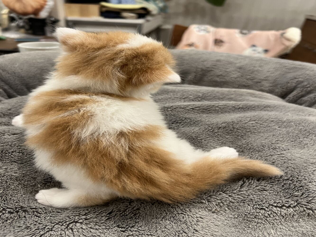 画像21793