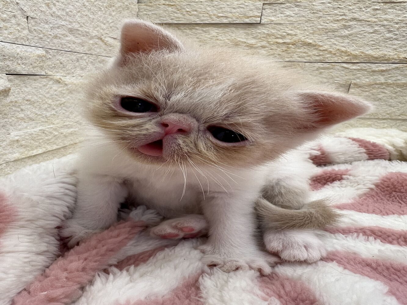 画像23025